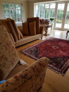 rug and sofa image