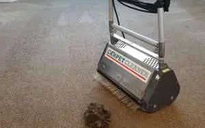 carpet cleaning agitator