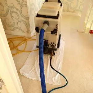 Carpet cleaning machine