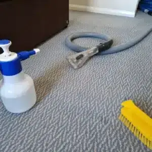 spot cleaning