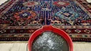 Rug cleaning image